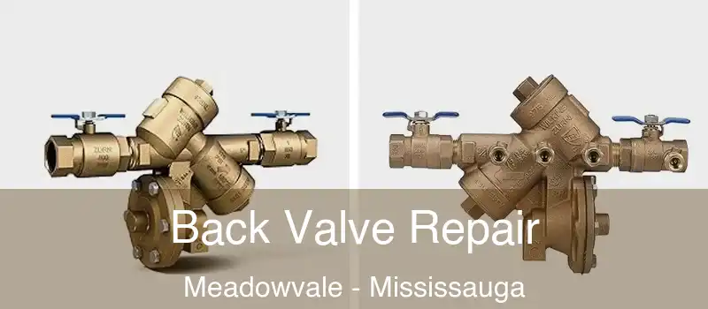 Back Valve Repair Meadowvale - Mississauga