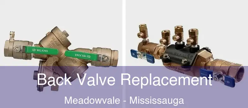 Back Valve Replacement Meadowvale - Mississauga