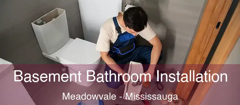 Basement Bathroom Installation Meadowvale - Mississauga