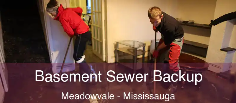 Basement Sewer Backup Meadowvale - Mississauga