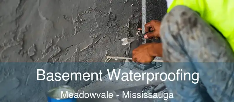  Basement Waterproofing Meadowvale - Mississauga