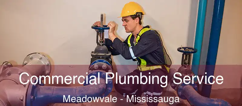  Commercial Plumbing Service Meadowvale - Mississauga