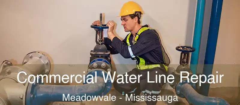  Commercial Water Line Repair Meadowvale - Mississauga