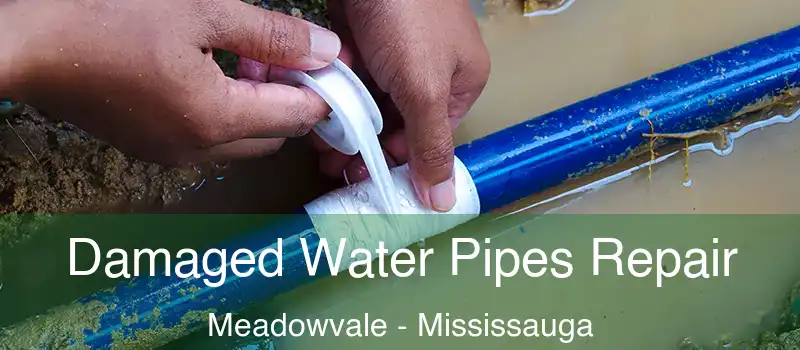  Damaged Water Pipes Repair Meadowvale - Mississauga