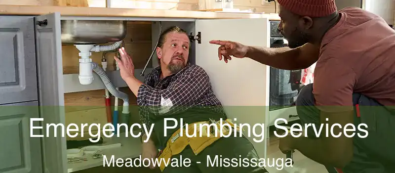Emergency Plumbing Services Meadowvale - Mississauga