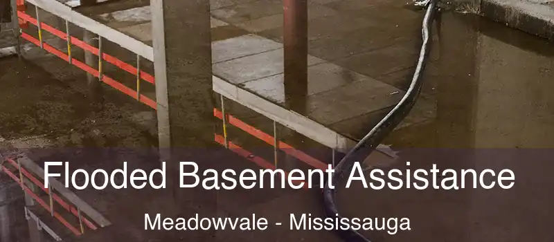 Flooded Basement Assistance Meadowvale - Mississauga