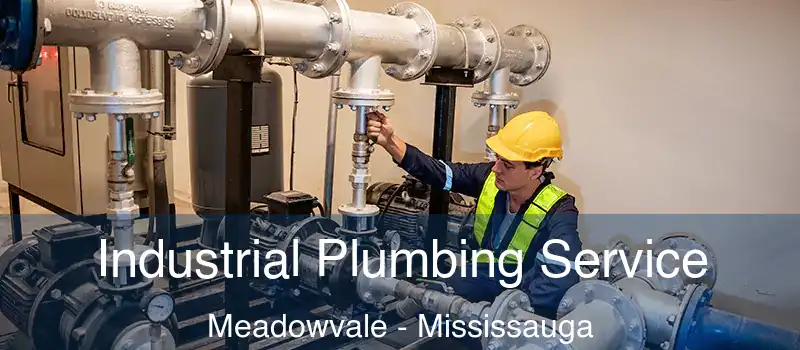  Industrial Plumbing Service Meadowvale - Mississauga