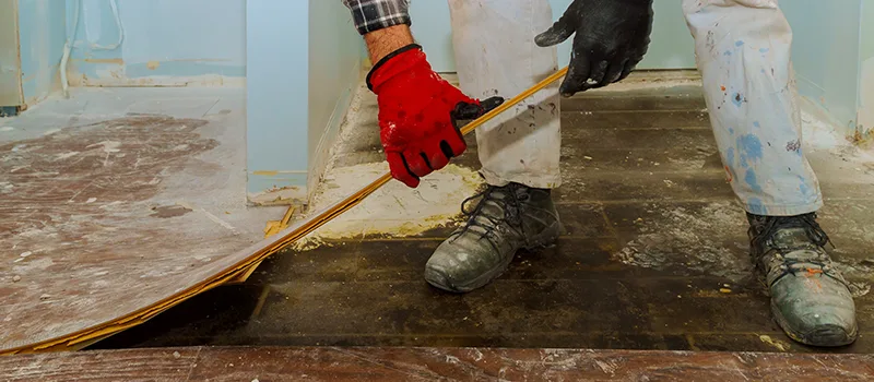 Cost Of Flooded Basement Cleanup in Meadowvale, Mississauga