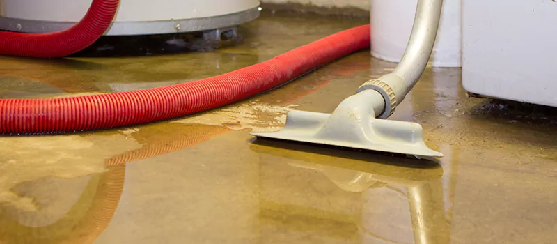 Professional Sewer Backup Cleanup Services in Meadowvale, Mississauga