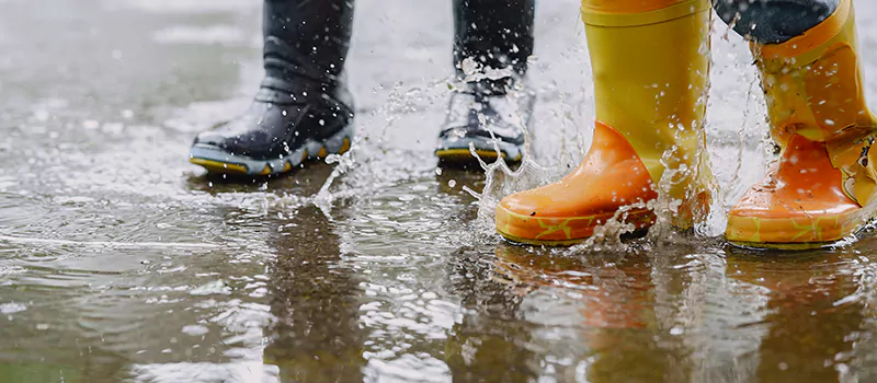 Emergency Flood Recovery Plumbing Services in Meadowvale, Mississauga