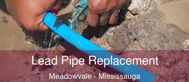 Lead Pipe Replacement Meadowvale - Mississauga