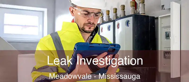 Leak Investigation Meadowvale - Mississauga