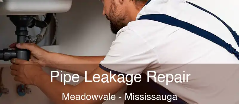 Pipe Leakage Repair Meadowvale - Mississauga