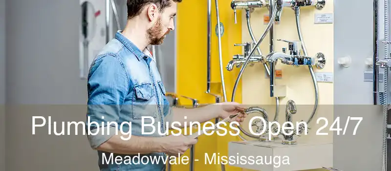  Plumbing Business Open 24/7 Meadowvale - Mississauga