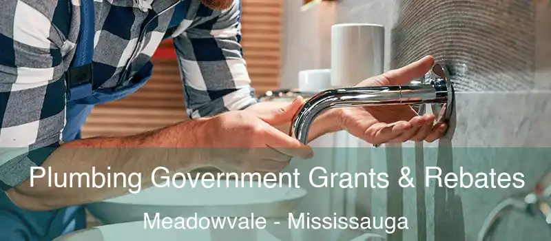  Plumbing Government Grants & Rebates Meadowvale - Mississauga