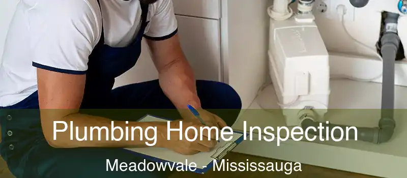 Plumbing Home Inspection Meadowvale - Mississauga