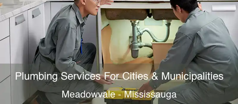 Plumbing Services For Cities & Municipalities Meadowvale - Mississauga