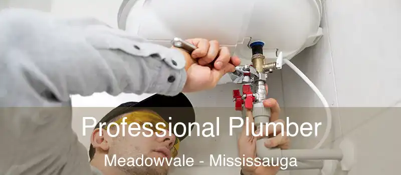 Professional Plumber Meadowvale - Mississauga