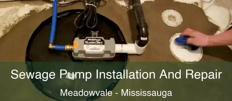 Sewage Pump Installation And Repair Meadowvale - Mississauga