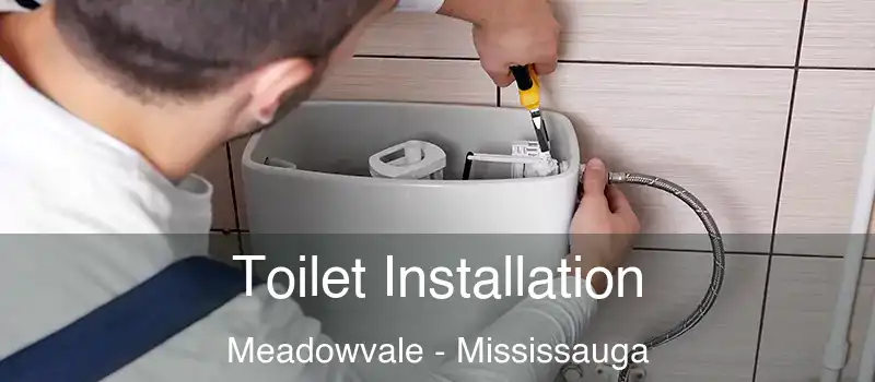 Toilet Installation Meadowvale - Mississauga