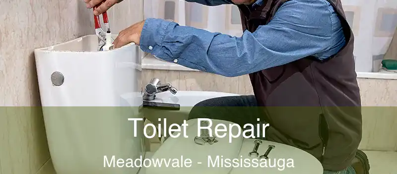 Toilet Repair Meadowvale - Mississauga