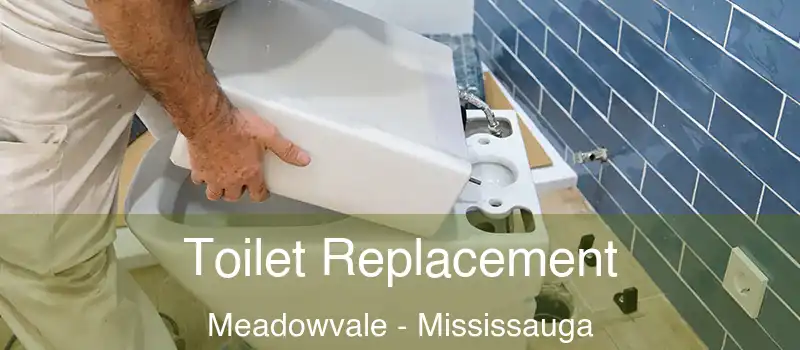 Toilet Replacement Meadowvale - Mississauga