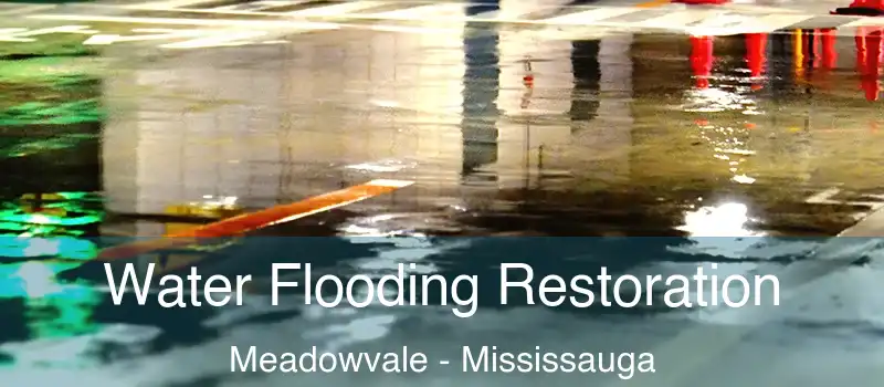 Water Flooding Restoration Meadowvale - Mississauga