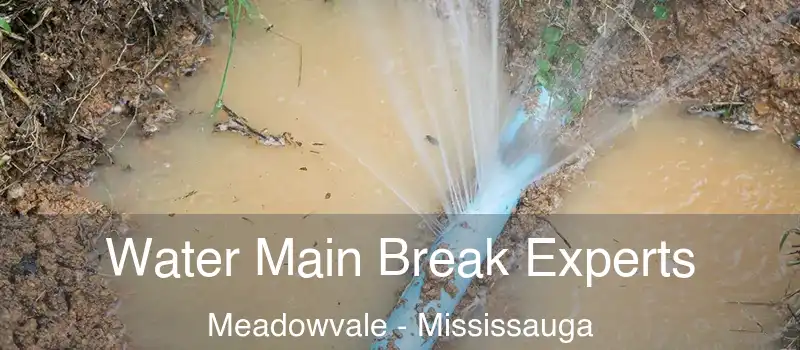 Water Main Break Experts Meadowvale - Mississauga