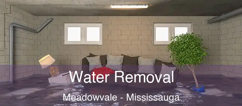  Water Removal Meadowvale - Mississauga
